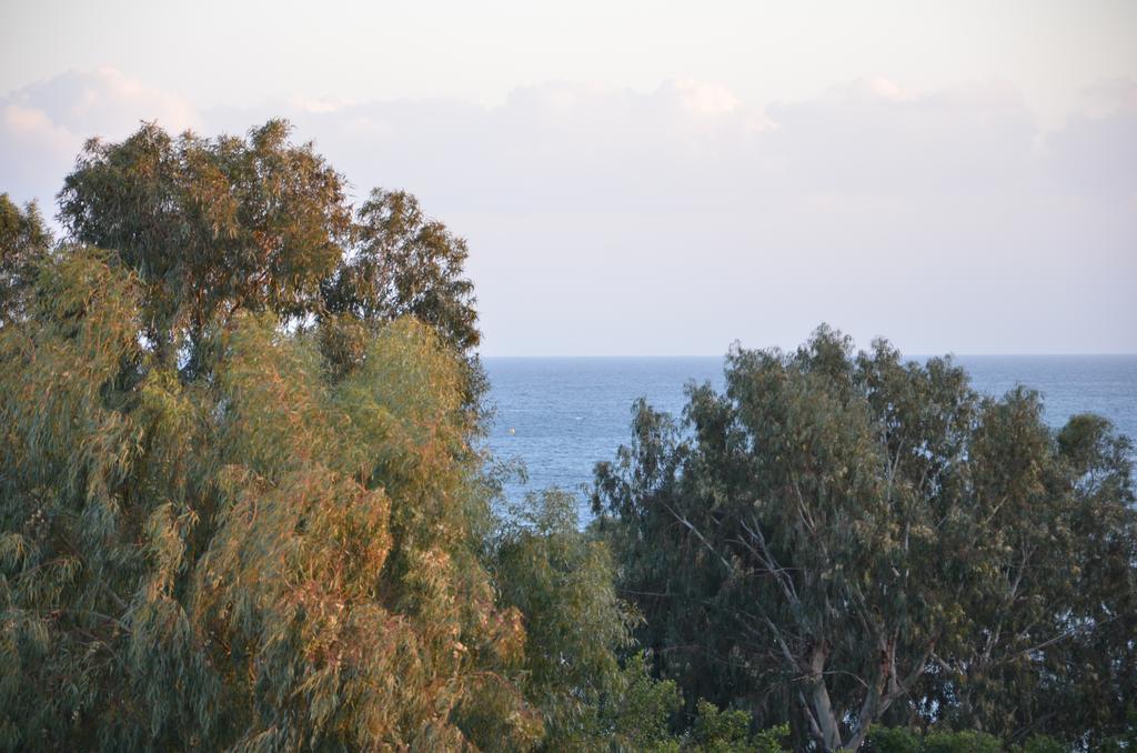 Pebble Beach Holiday Apartments Limasol Dış mekan fotoğraf